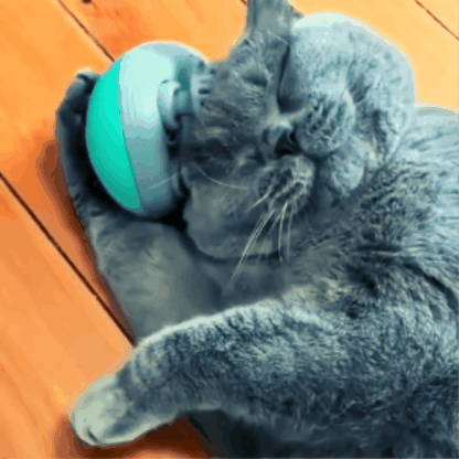 PATİJOY🐈